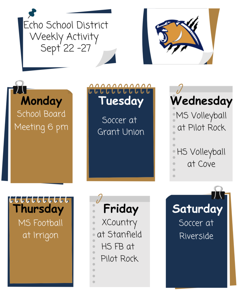 Weekly Activity