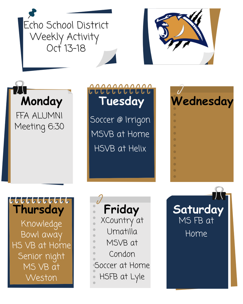 2025 -26 Weekly Activity (14)