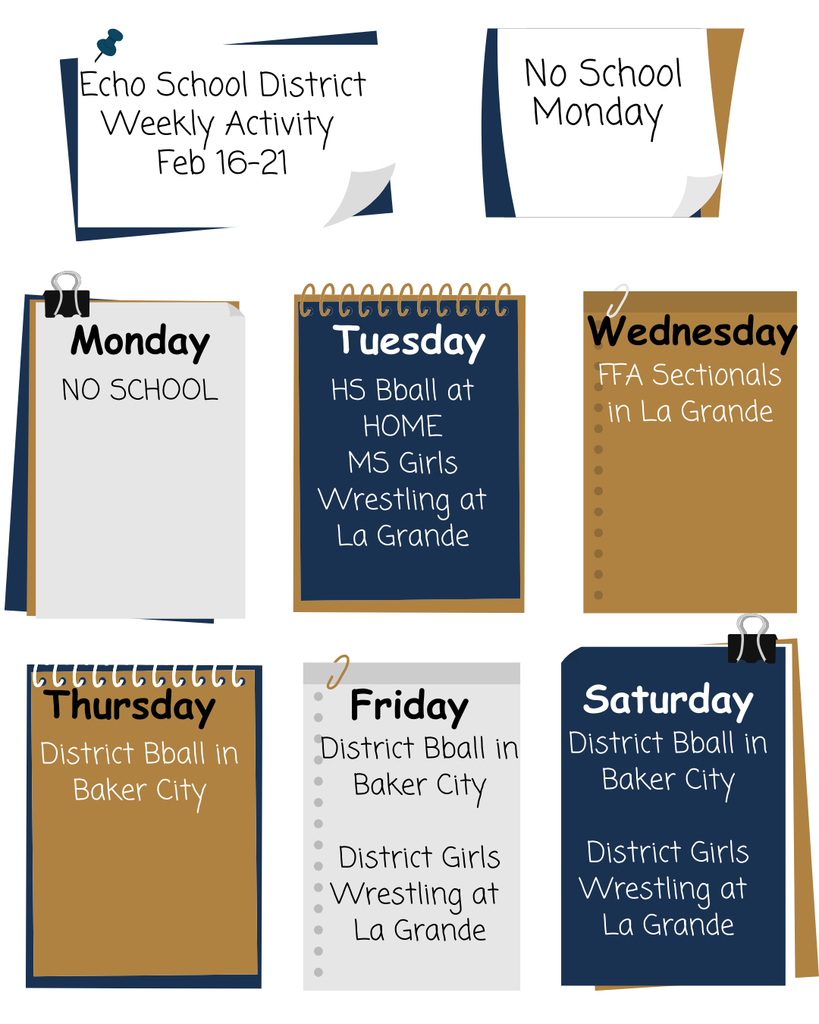 2025-26 Weekly Activity  (13)