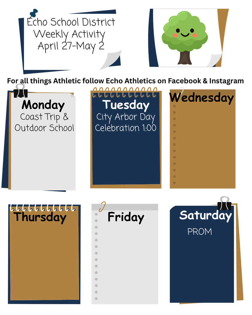 2025 -26 Weekly Activity 