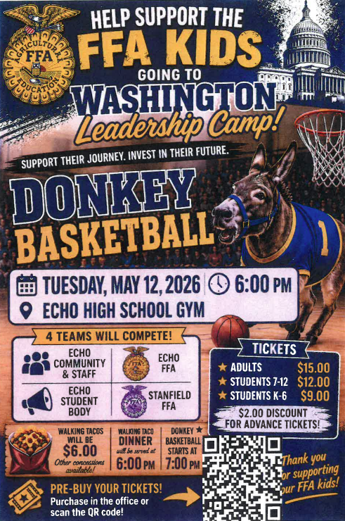 Donkey Basketball