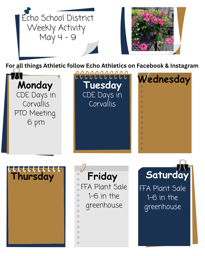 2025 -26 Weekly Activity 
