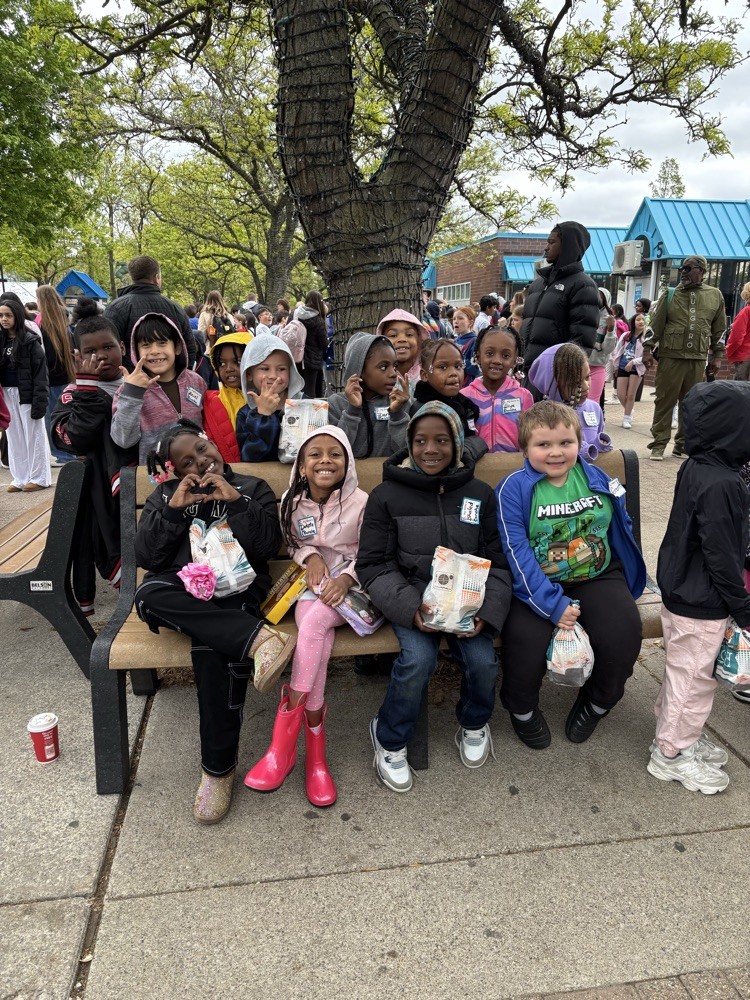 zoo group 