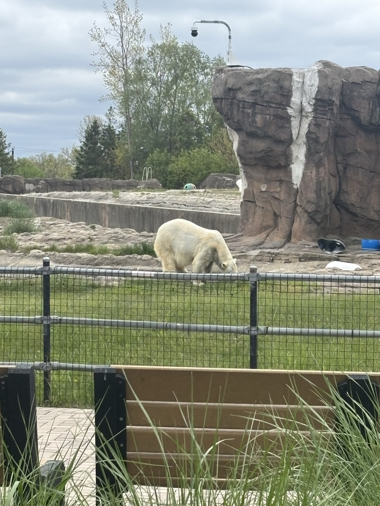 zoo