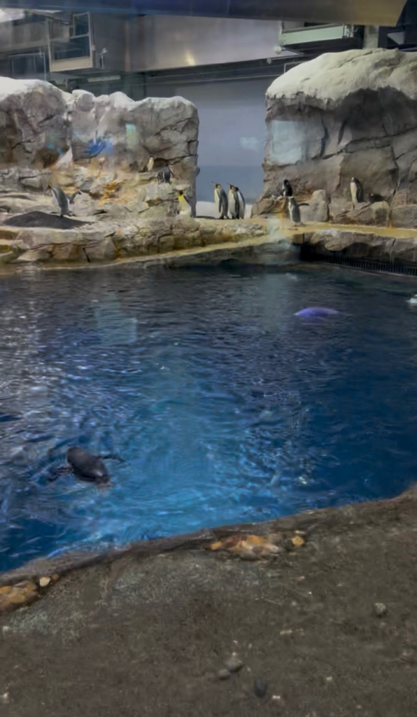 zoo