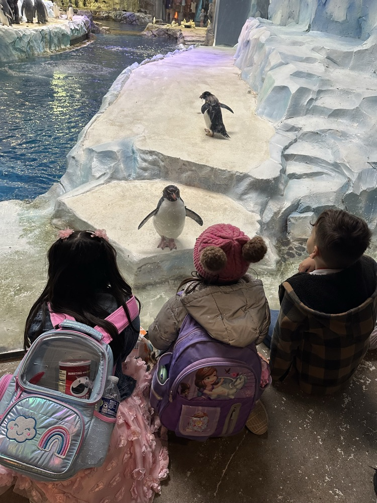 zoo