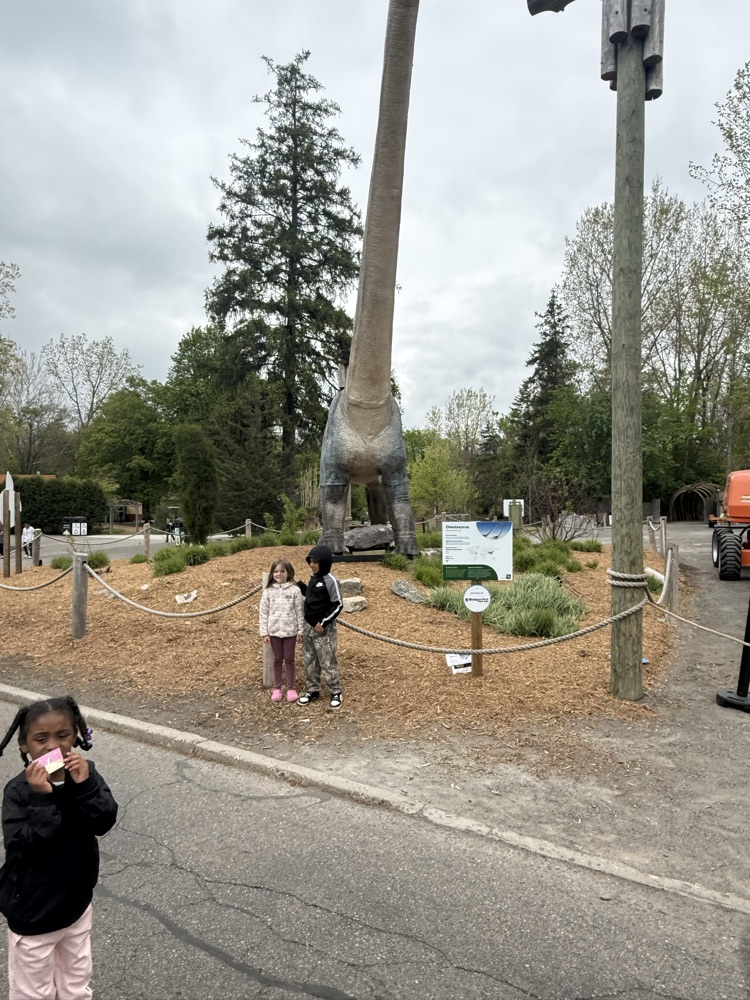 zoo