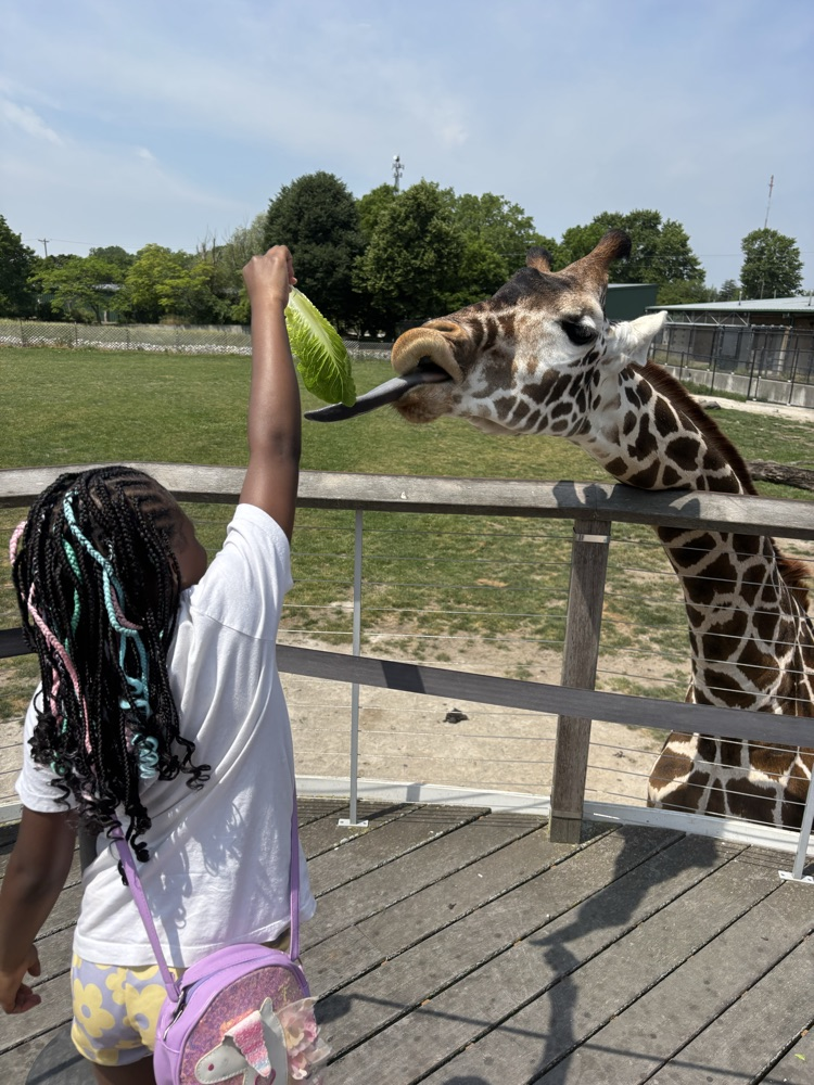 T Zoo