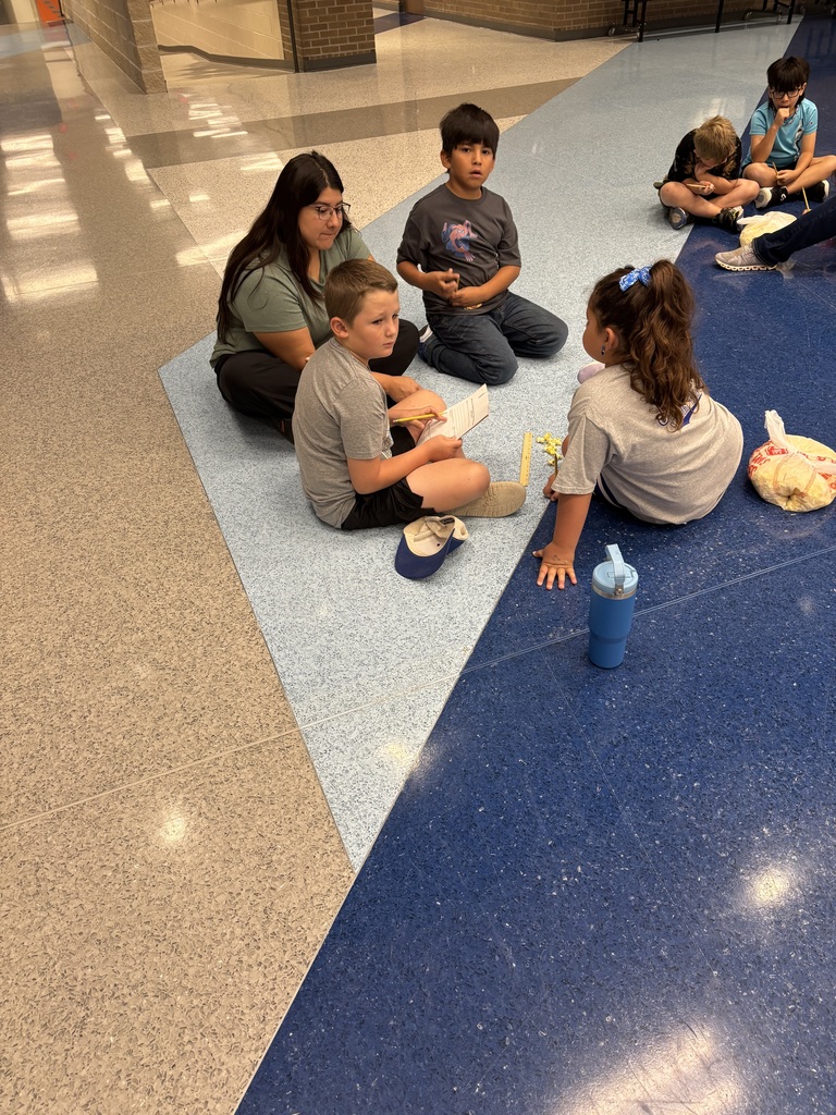 Having fun learning 