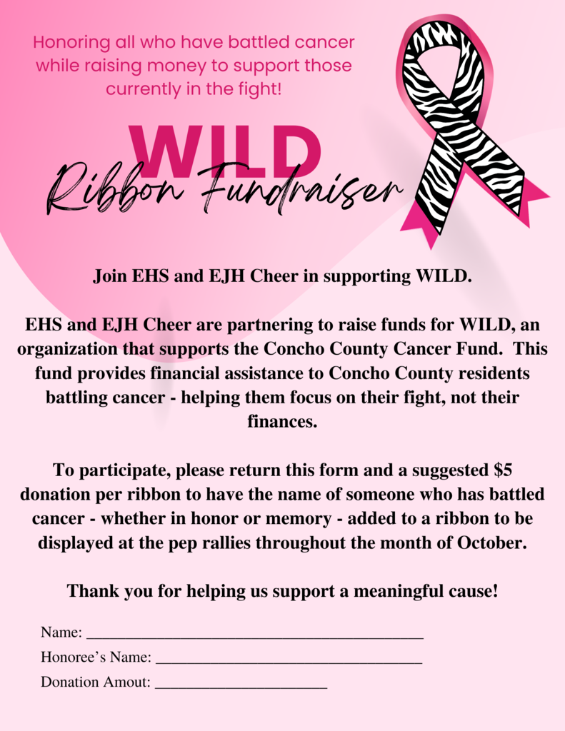 Ribbon Fundraiser