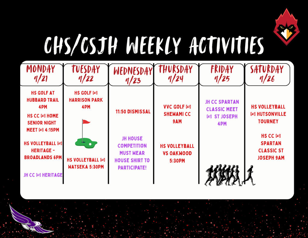 Weekly Activity