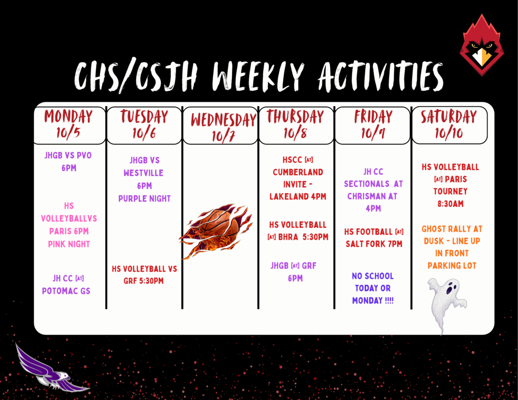Weekly Activity