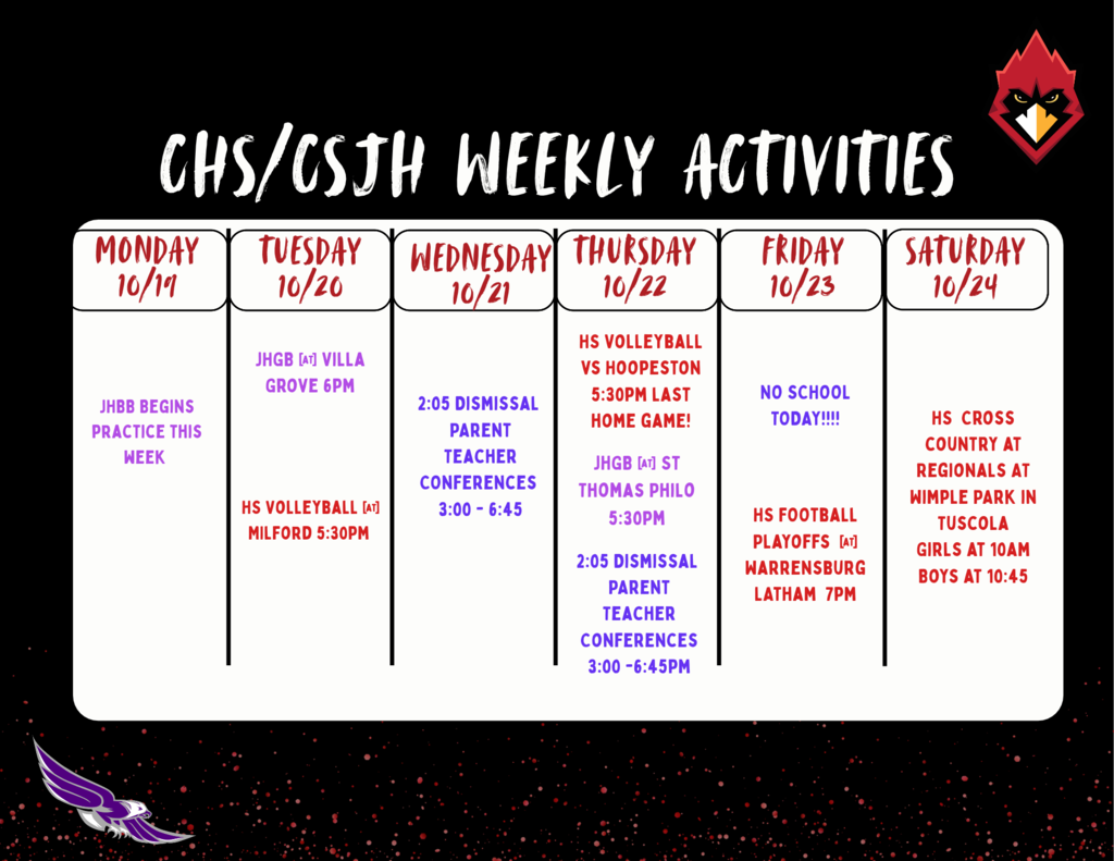 Weekly Activity