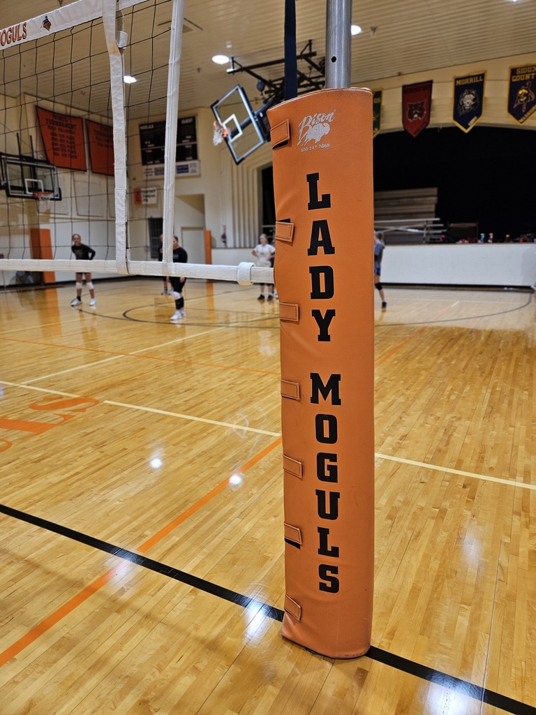 volleyball pole