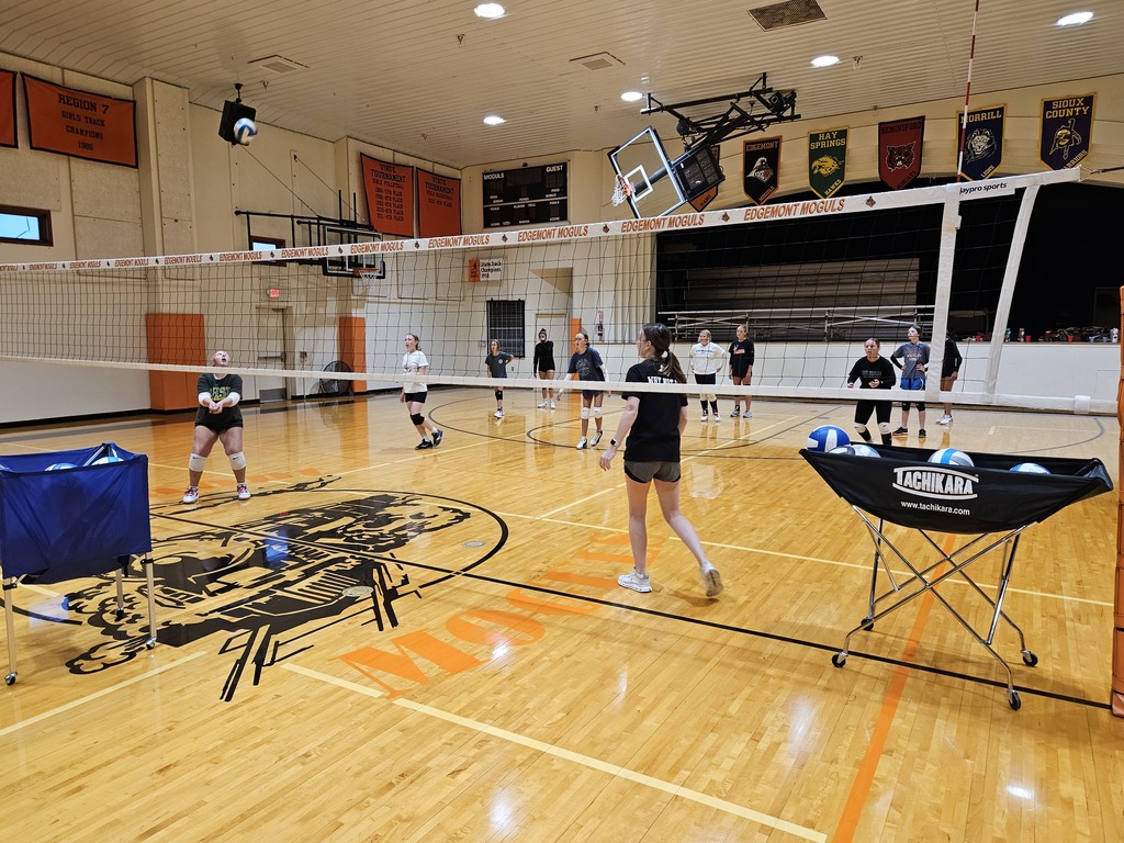 10 girls playing volleyball in a gym