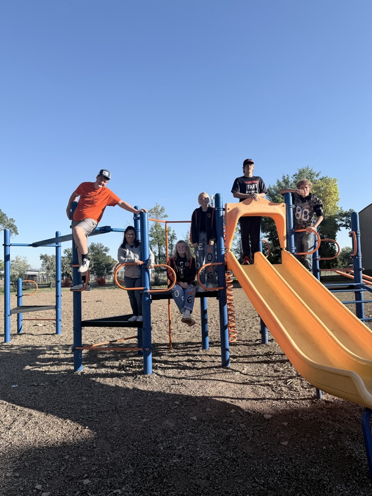 fun in the sun