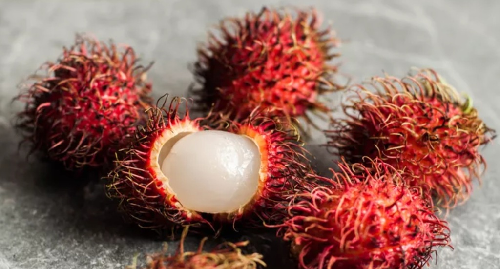 rambutan fruit with hairy outside 