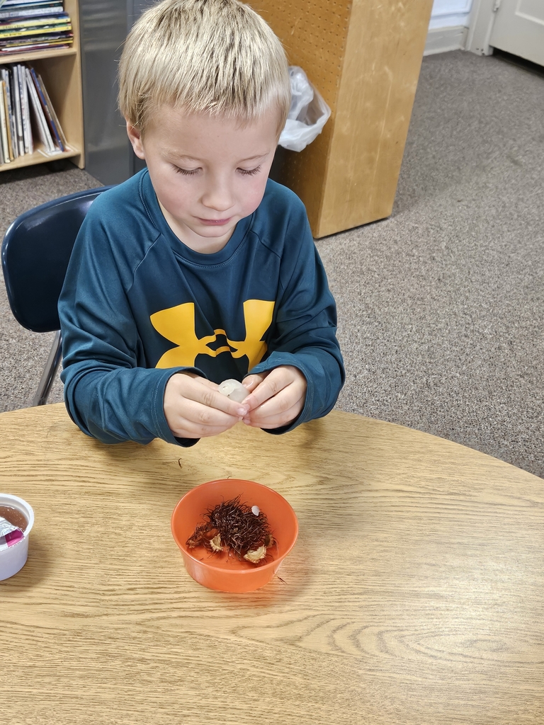 boy eating fruit 