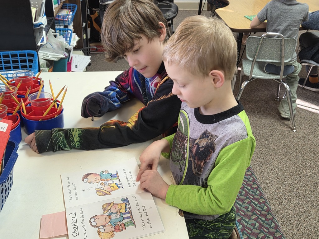 one little boy and one middle school boy reading