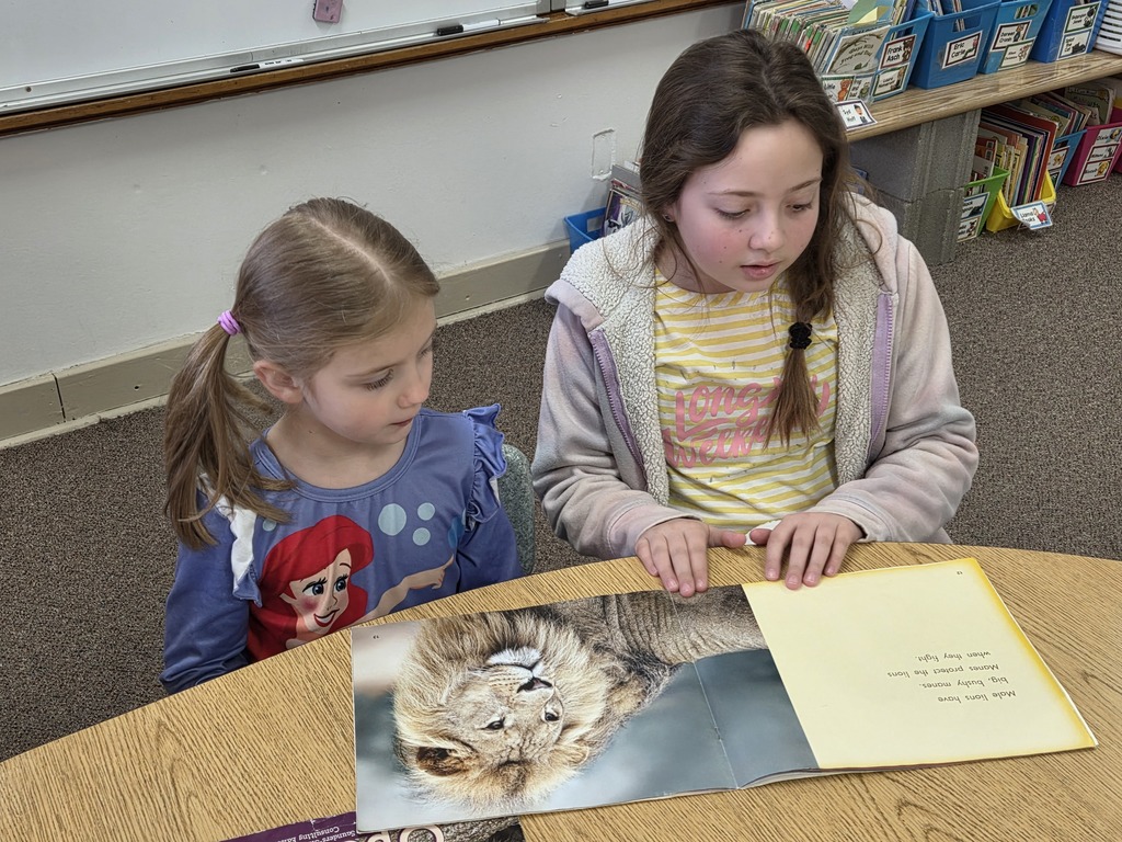 one little girl and one middle school girl reading
