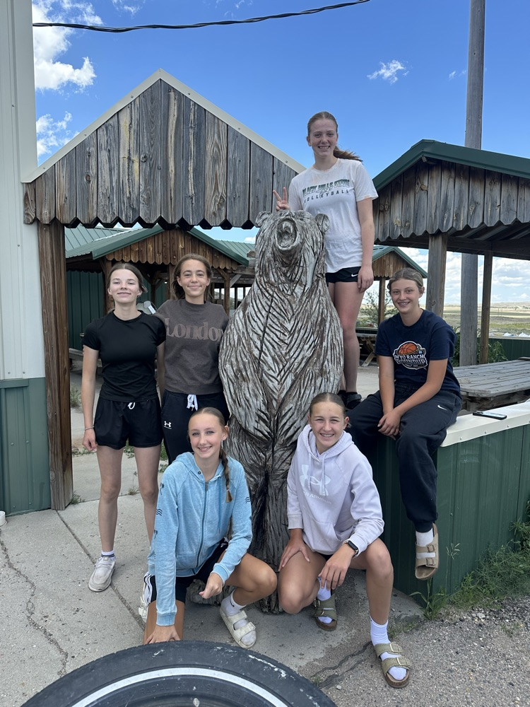 bear 