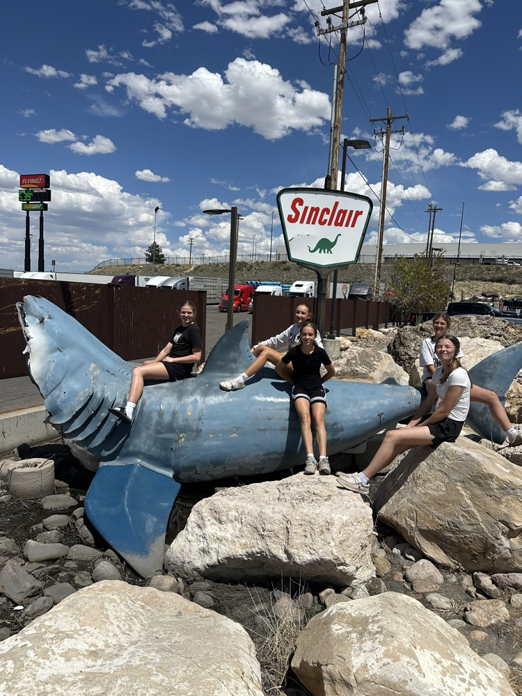 shark