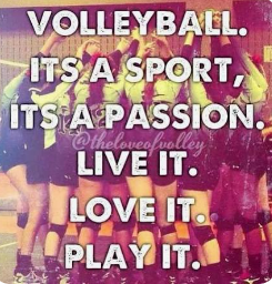 Volleyball Camp