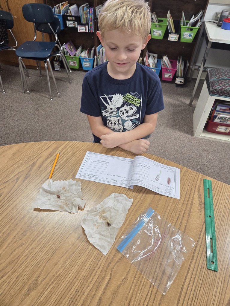Boy looking at seeds