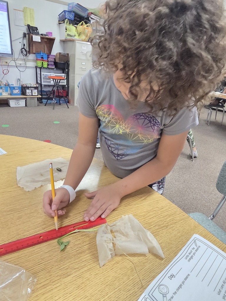 Girl looking at seeds