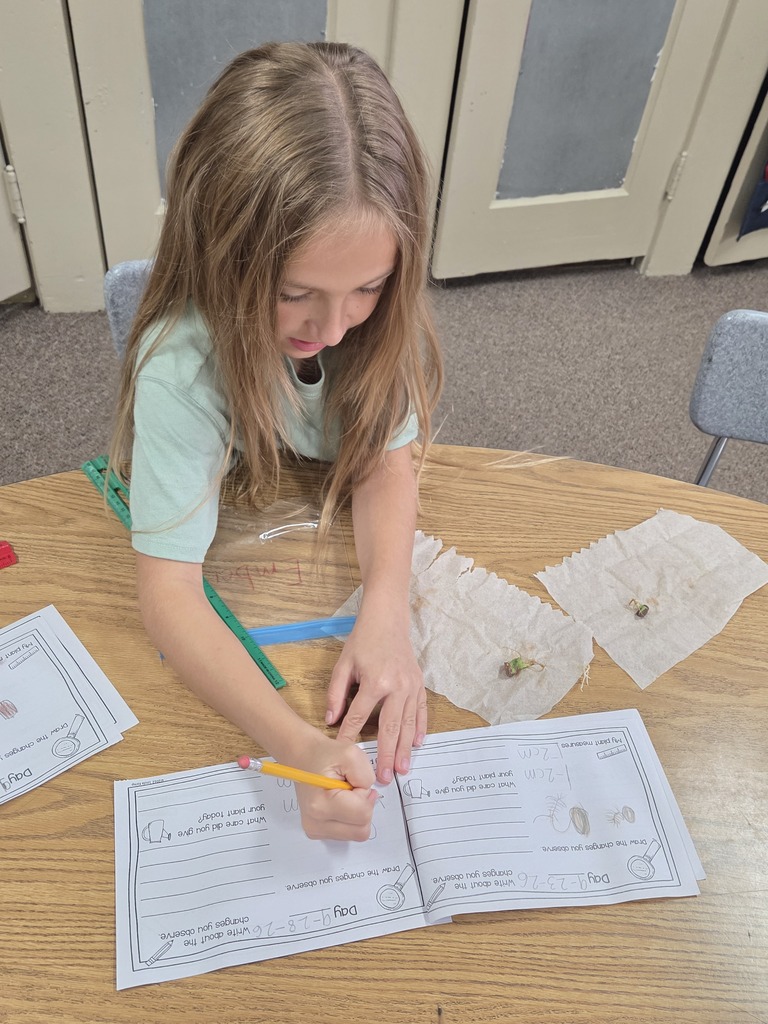 Girl looking at seeds 