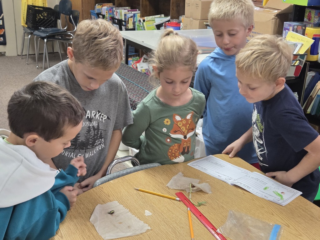 4 kids looking at seeds 