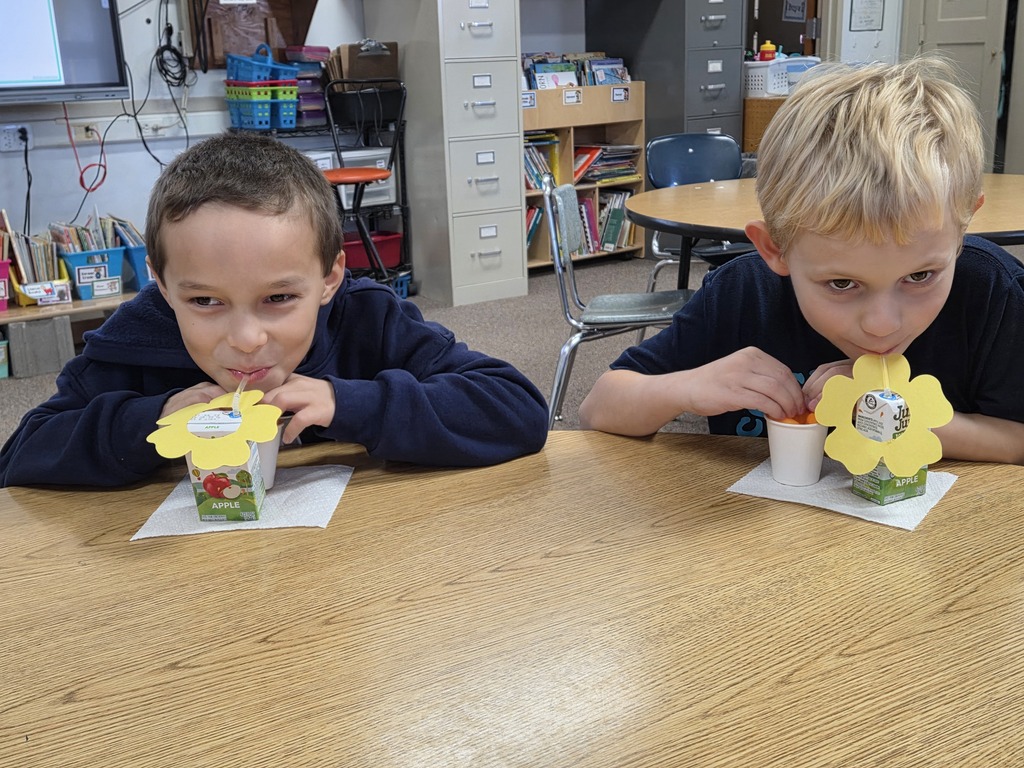 2 boys drinking juice