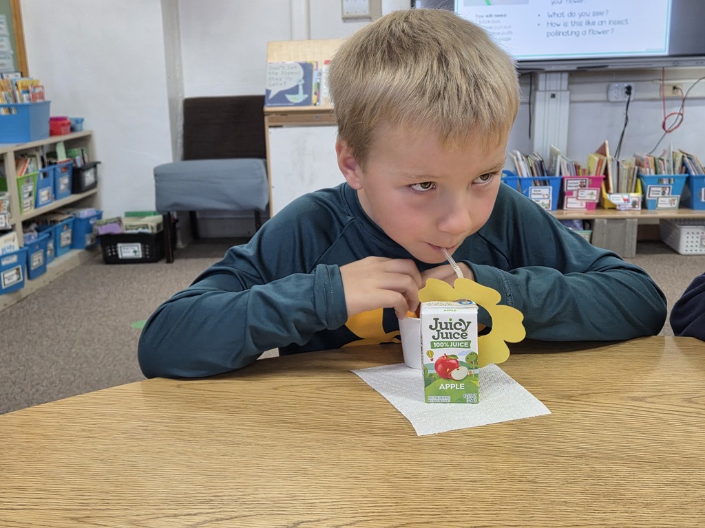 a boy drinking juice