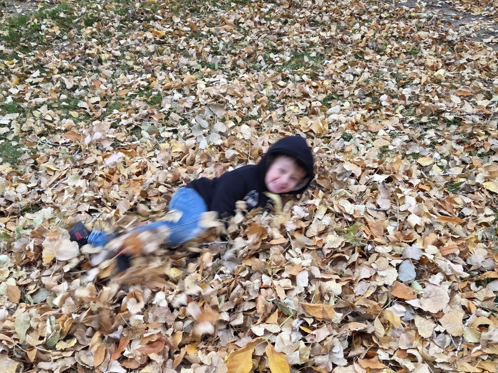 a boy jumping into a pile of leaves 