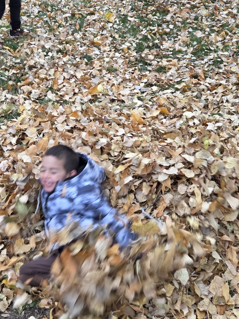 a boy jumping into a pile of leaves 