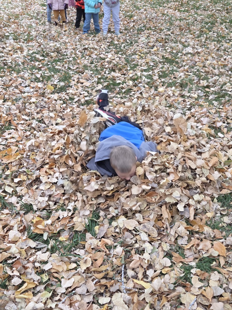 a boy jumping into a pile of leaves 