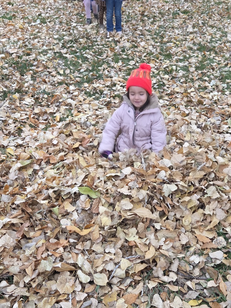 a girl jumping into a pile of leaves 
