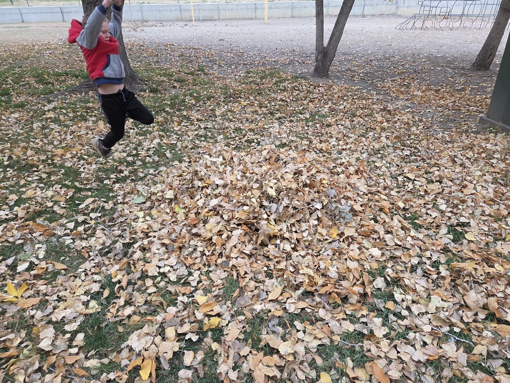 a boy jumping into a pile of leaves 