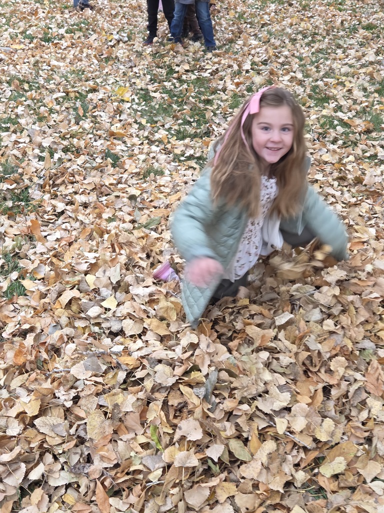 a girl jumping into a pile of leaves 