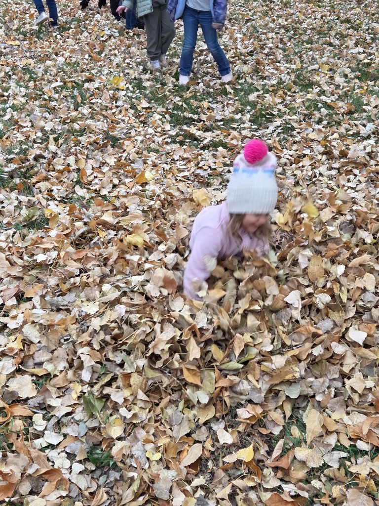 a girl jumping into a pile of leaves 