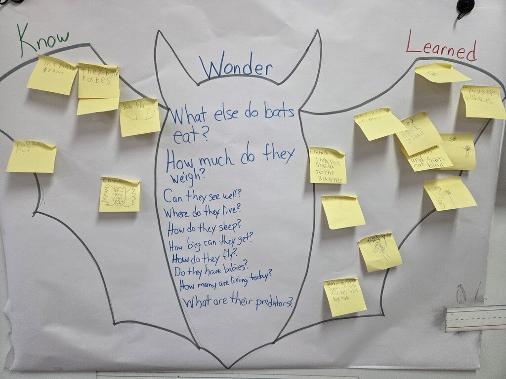 a bat outline with facts written in it