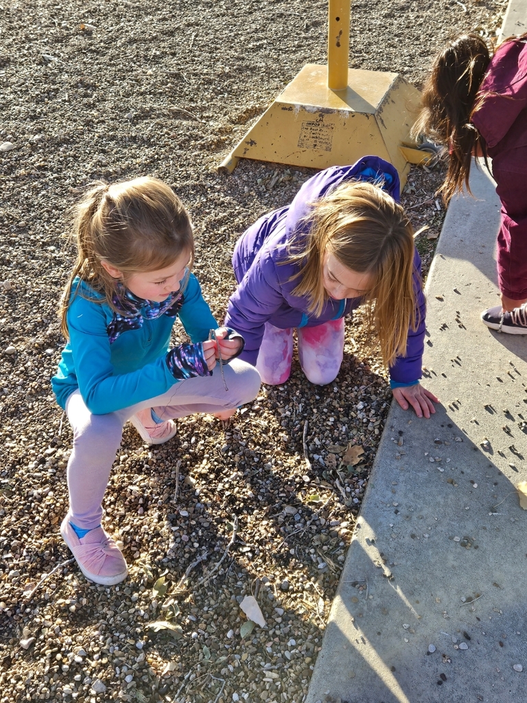 two kids looking at sticks