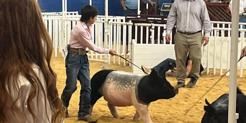 Congratulations to G. Fucaloro on placing 5th with his crossbred gilt at the State Fair of Texas Pan-Am gilt show