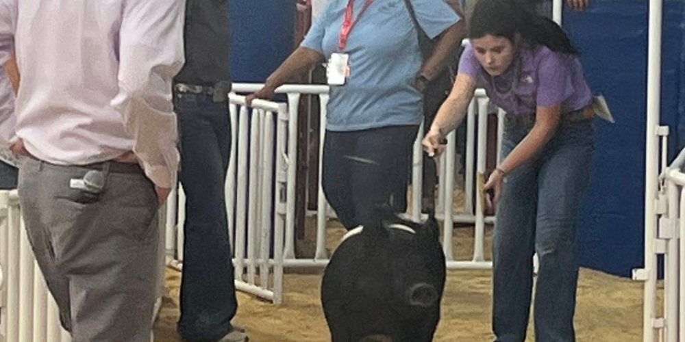 Congratulations to M James