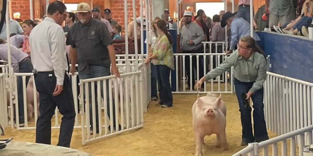 Congratulations to R Wilcoxson