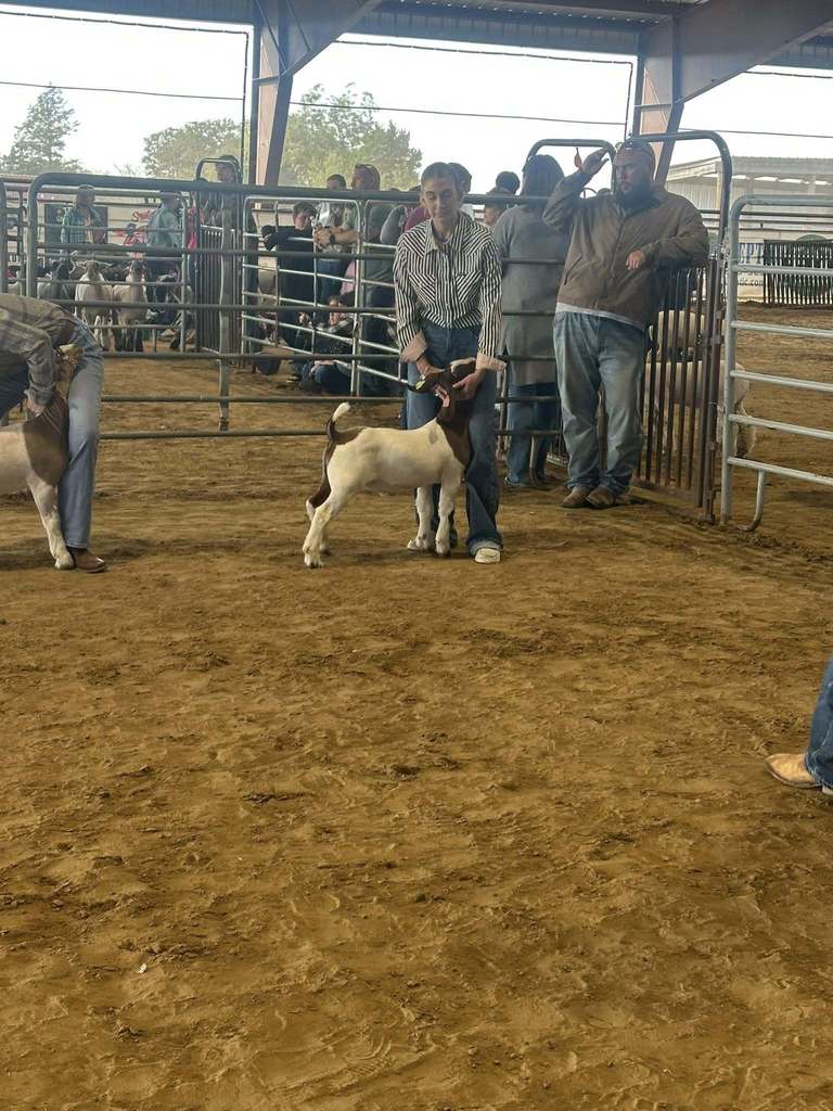 R. Wilcoxson and H. Harper learned alot at the Spooktacular Jackpot today!  R. Wilcoxson had a 1st, 4th, and two 5th place  H. Harper had a 4th place  Great job girls! 👏👏👏