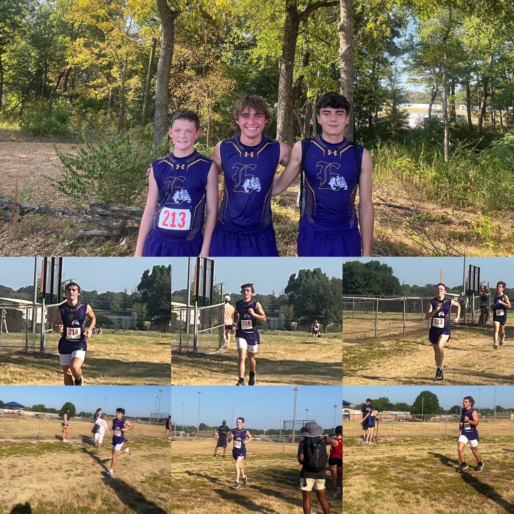 Two photo collages featuring Edgewood High School Cross Country athletes at a meet. The photos show the girls’ and boys’ teams posing together in purple and gold uniforms, along with action shots of runners competing across the outdoor course and approaching the finish area.