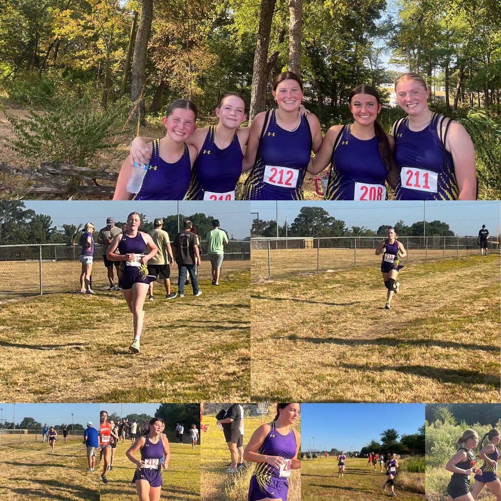 Two photo collages featuring Edgewood High School Cross Country athletes at a meet. The photos show the girls’ and boys’ teams posing together in purple and gold uniforms, along with action shots of runners competing across the outdoor course and approaching the finish area.