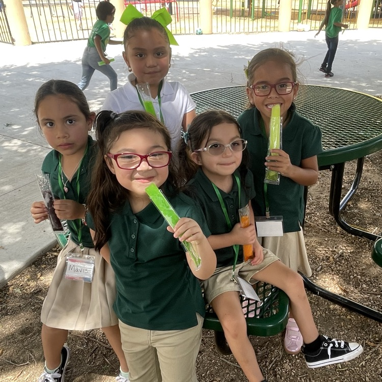 popsicles