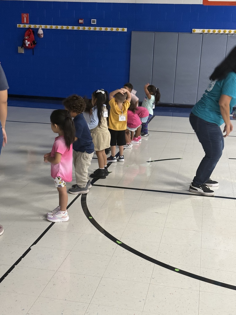 Gross Motor Skills